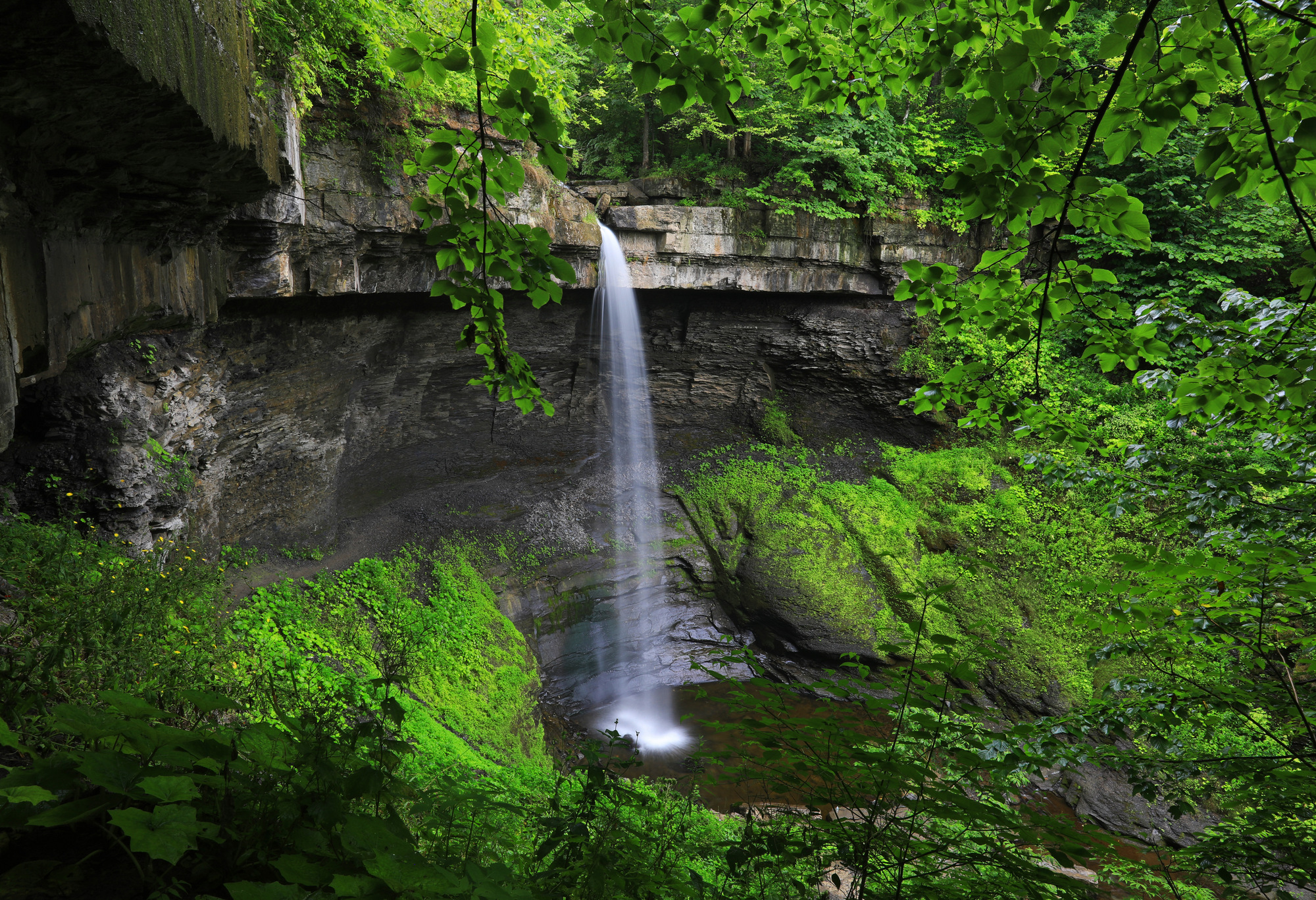 A serene waterfall cascades over a mossy cliff face into a lush green forest, with vibrant foliage surrounding it.