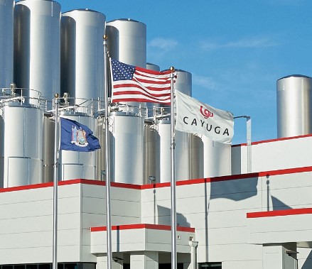 Exterior of Cayuga Milk Ingredients plant with US, New York State, and company flags flying under a blue sky.