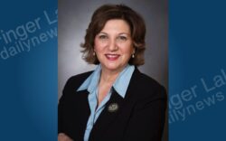 A professional headshot of Sue Dwyer, a smiling woman with brown hair, wearing a dark blazer and light blue shirt.