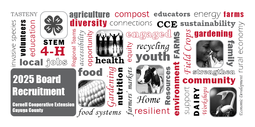 Word cloud graphic for Cornell Cooperative Extension of Cayuga County's 2025 board recruitment.