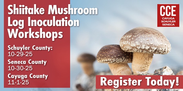 Promotional graphic for Shiitake Mushroom Log Inoculation Workshops with dates, counties, CCE logo, and shiitake mushrooms.