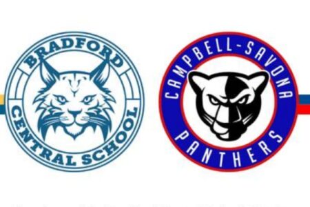 Logos for Bradford Central School (bobcat) and Campbell-Savona Panthers (panther), representing their merger study.