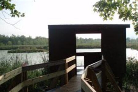 A wooden boardwalk leads to an observation blind overlooking a marsh with trees in the distance.