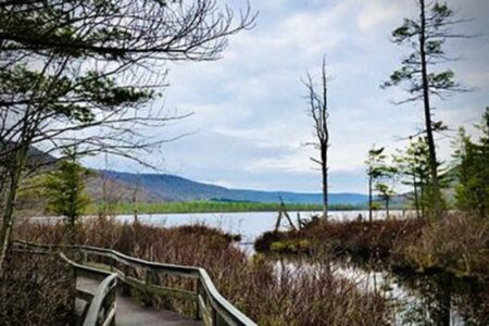 A wooden boardwalk winds through a marshy landscape next to a lake with mountains in the distance under a cloudy sky.