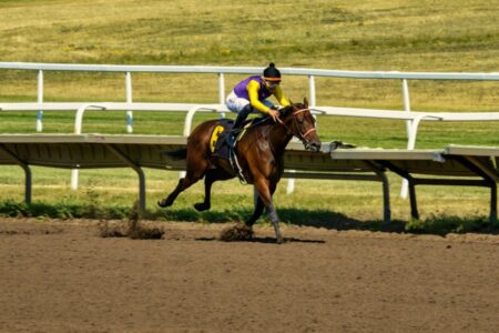 A jockey in purple and yellow silks rides a brown horse number 6 on a dirt racetrack, kicking up dirt.