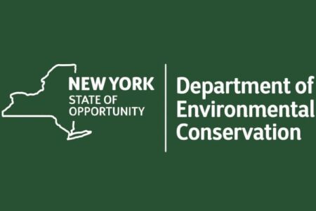 New York State Department of Environmental Conservation logo on a dark green background.