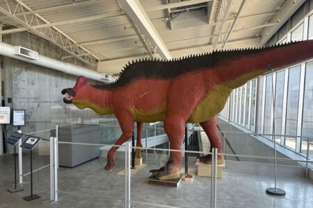 Life-sized Hadrosaur dinosaur sculpture with reddish-brown skin and yellow belly inside a modern museum.