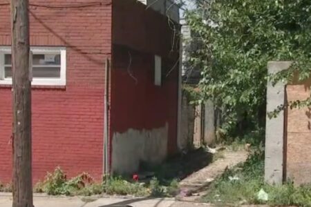 Narrow, overgrown alleyway between red brick buildings, suggesting an urban crime scene.