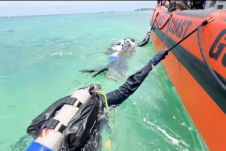 U.S. Coast Guard divers in clear blue water next to an orange Coast Guard boat.