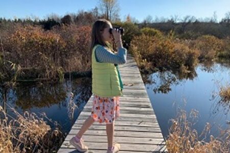 Young girl birdwatching with binoculars on a boardwalk over a marsh with autumnal vegetation.