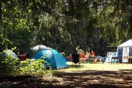 A family campsite in a sunny forest with tents and people, illustrating the DEC's First-Time Camper Program.