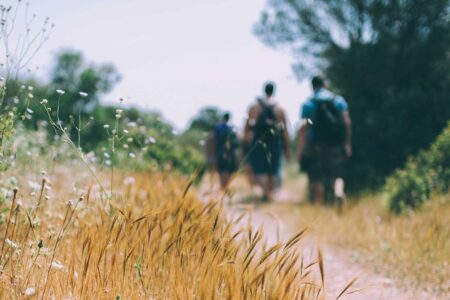 People hiking on a path through tall grass and wildflowers on a sunny day.