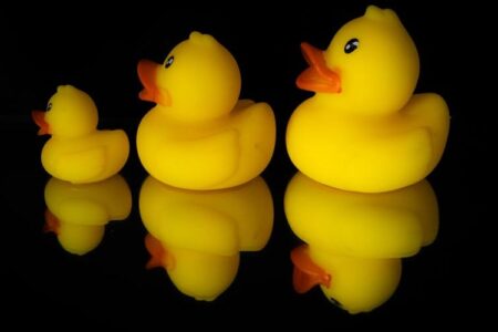 Three yellow rubber ducks of varying sizes, from small to large, on a reflective black surface.