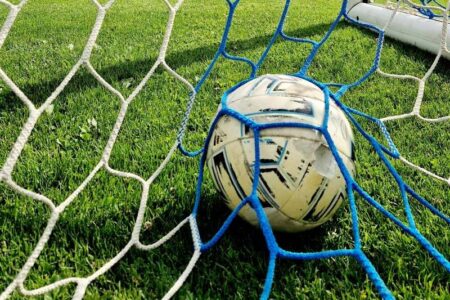A white and black soccer ball rests in a blue and white goal net on a green grass field.